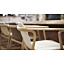 SPLINTER DINING ARMCHAIR (SHELL) / スプリンターダイニングアームチェア（シェル） ( カンディハウス / CondeHouse )