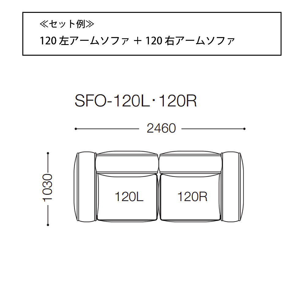 アルフィー Amazon.co.jp: アルフィー パンフレット THE ALFEE Victory Count Down