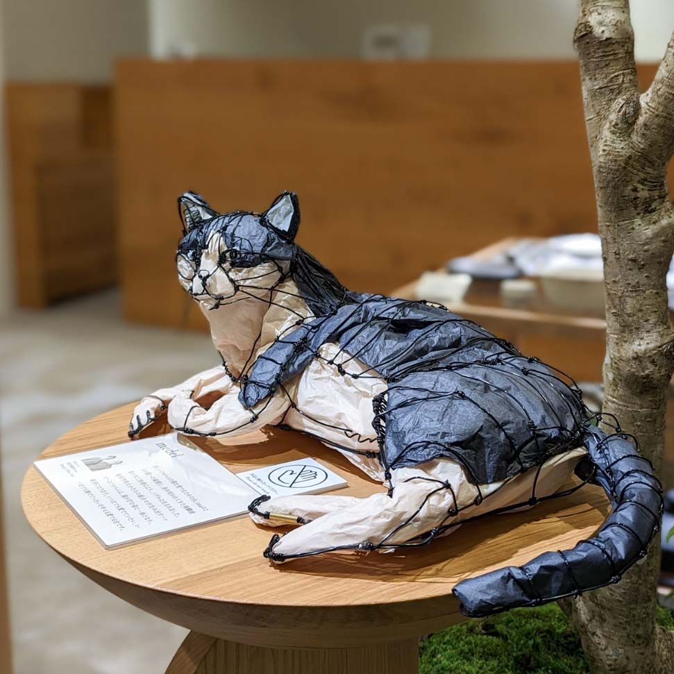 飛騨産業 新店グランドオープン_設計事務所imaによる猫と人をつなぐ家具「medel」シリーズのネコちゃん